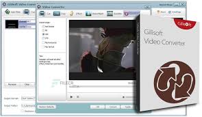 GiliSoft Video Watermark Removal Tool Crack