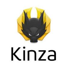 Kinza 6.7.1 (64-bit) Crack + Torrent Download 2021